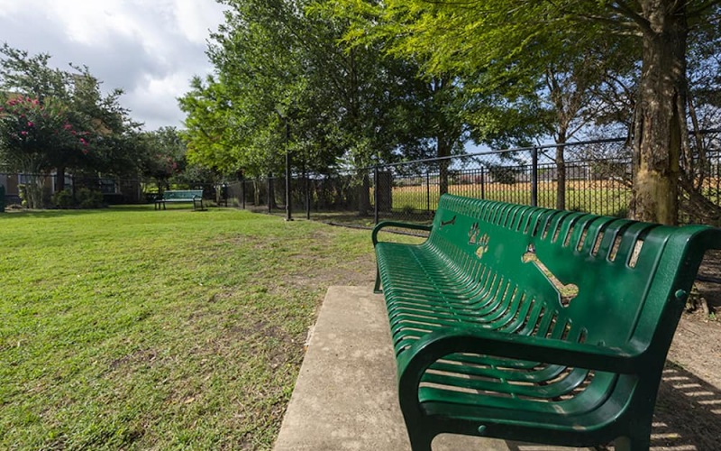 benches near the dog park area